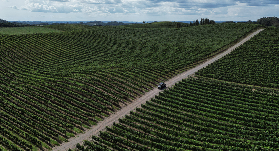 VINHOS E VINHEDOS 4x4 EXPERIENCE
